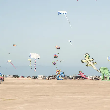 Tatil Evi Amazing In With Sauna *